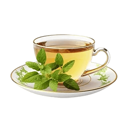 محصولات دسته گوارش و معده